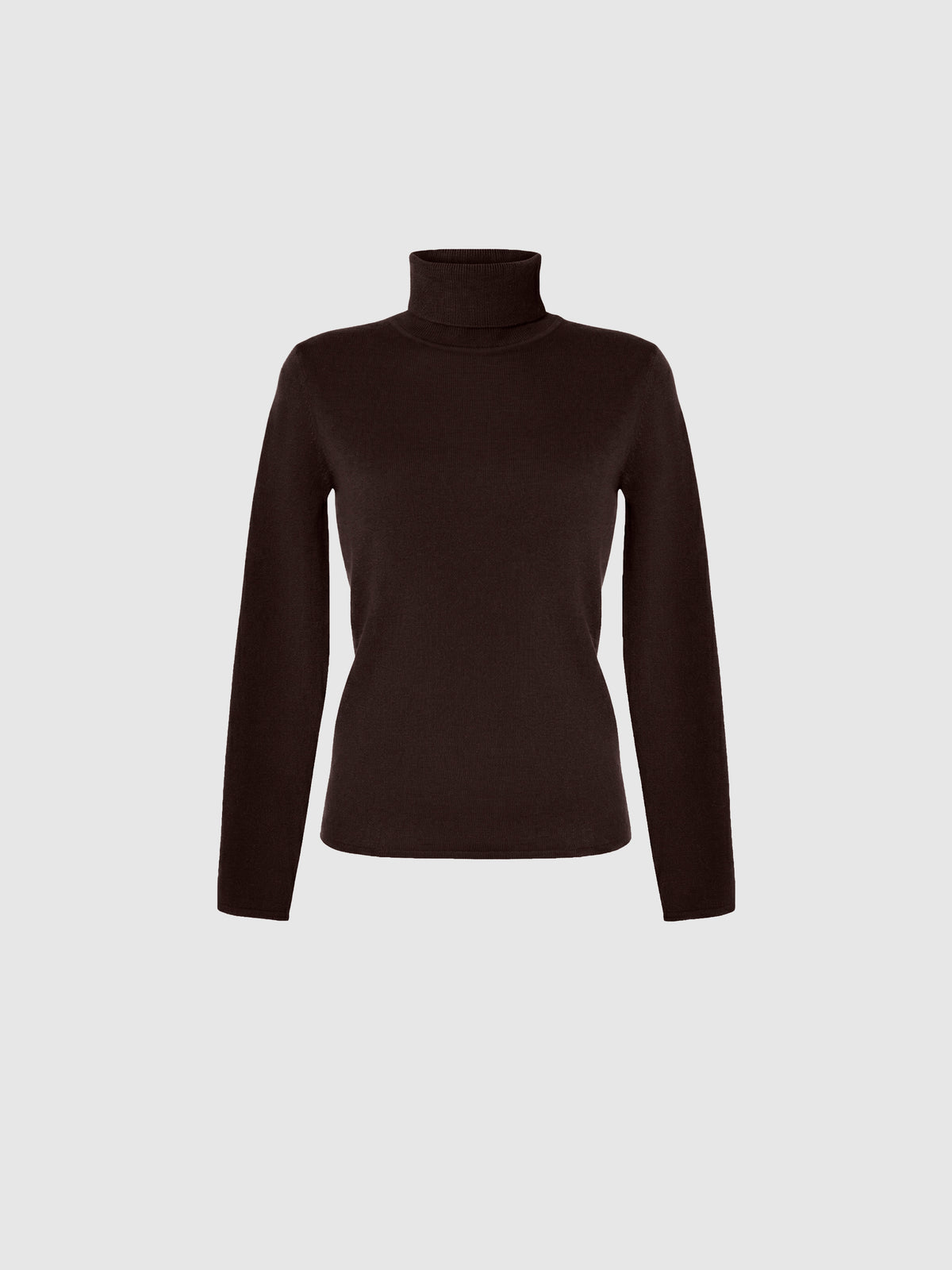 Polana Cashmere Turtleneck Knit