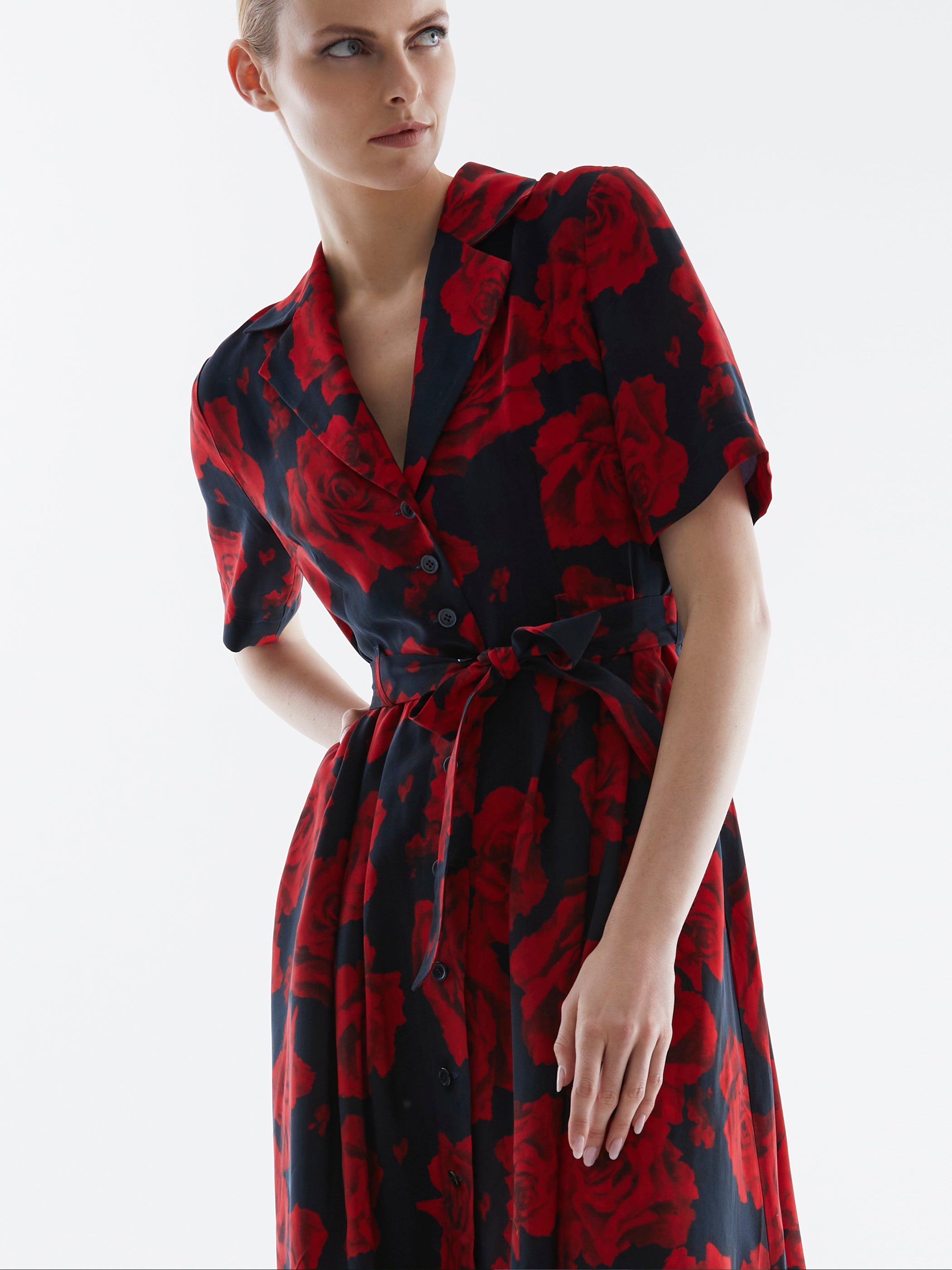 Vivien 2 Dress