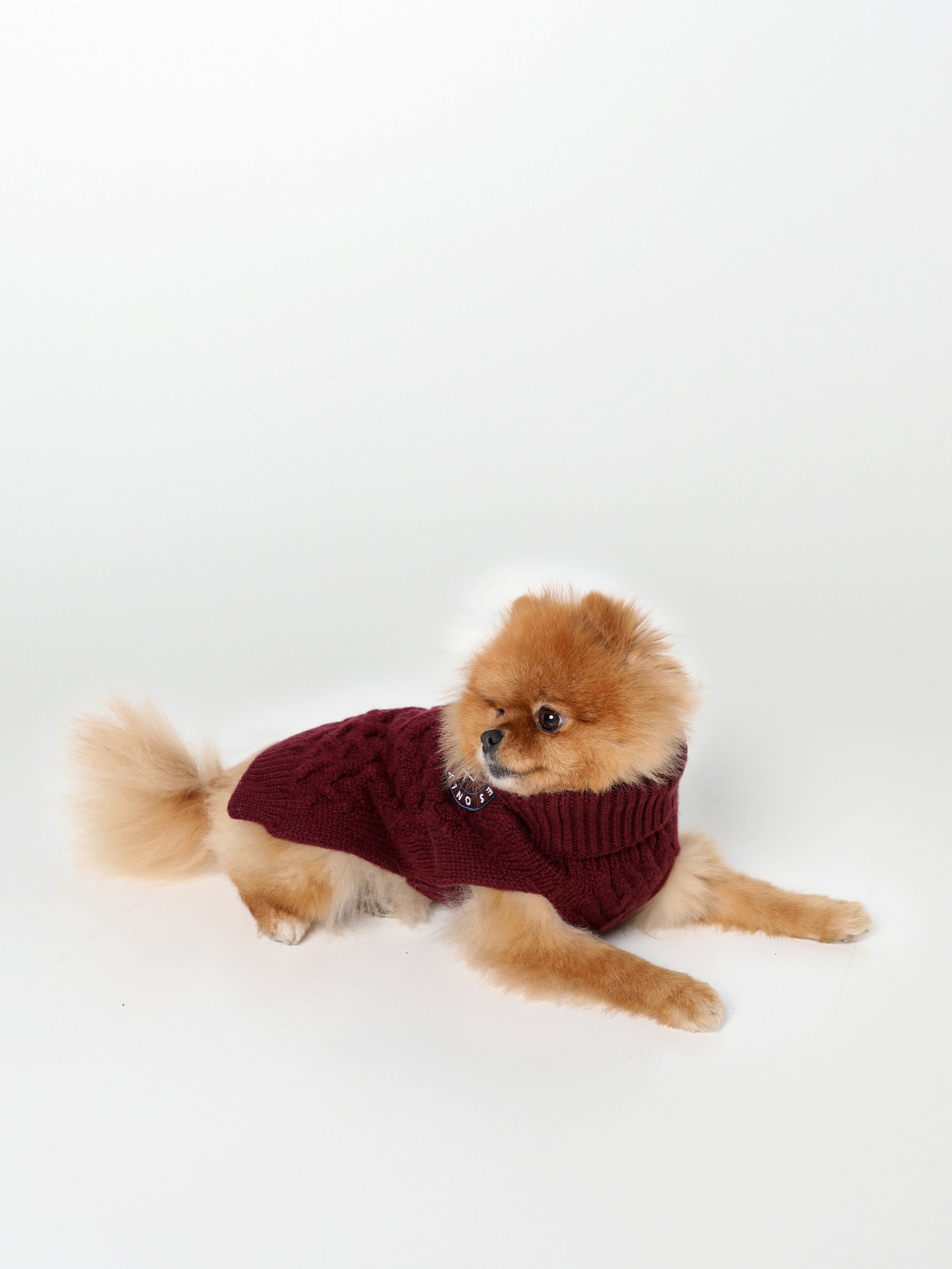 Soma Dog Sweater