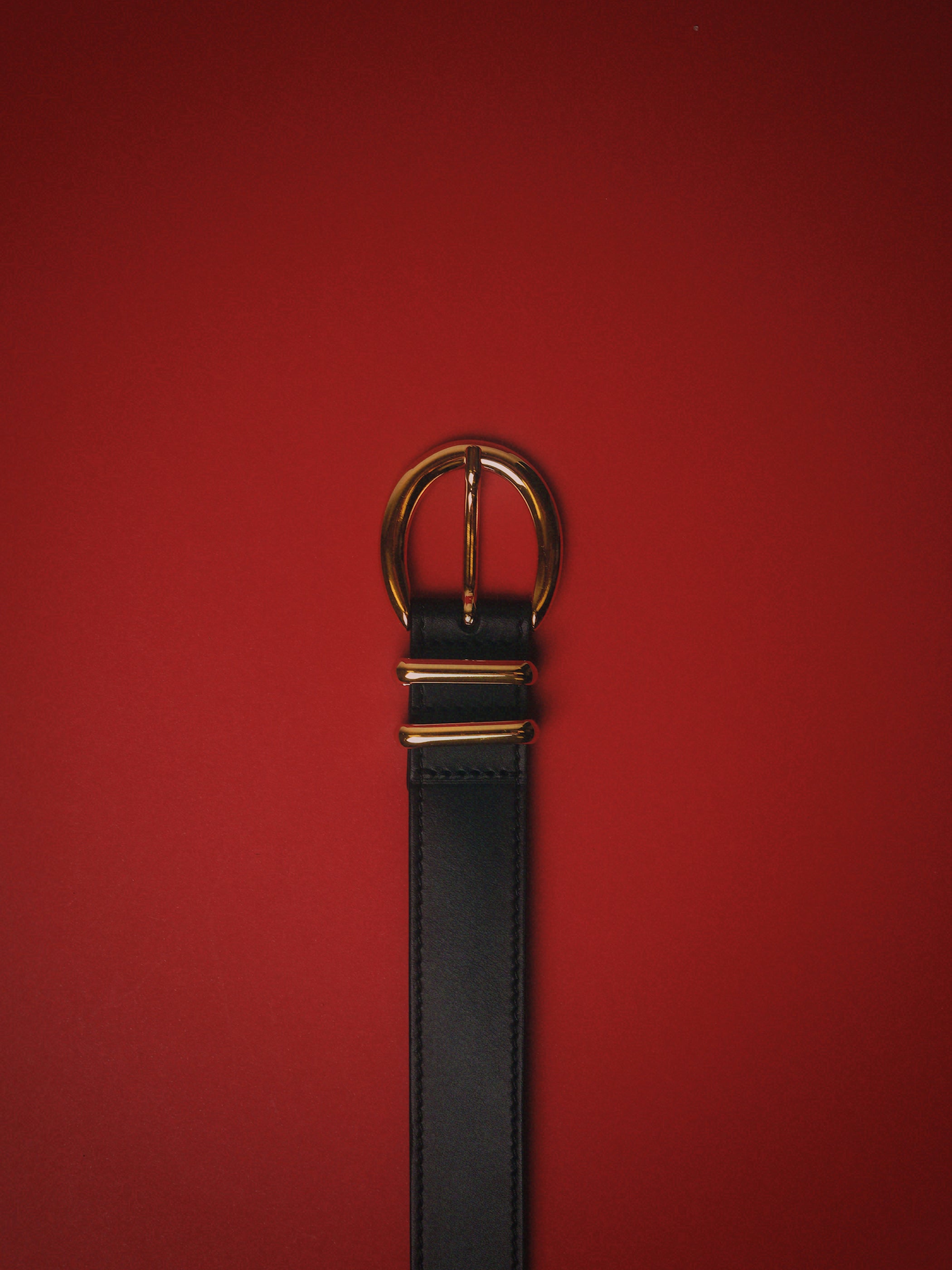 Carynia Leather Belt