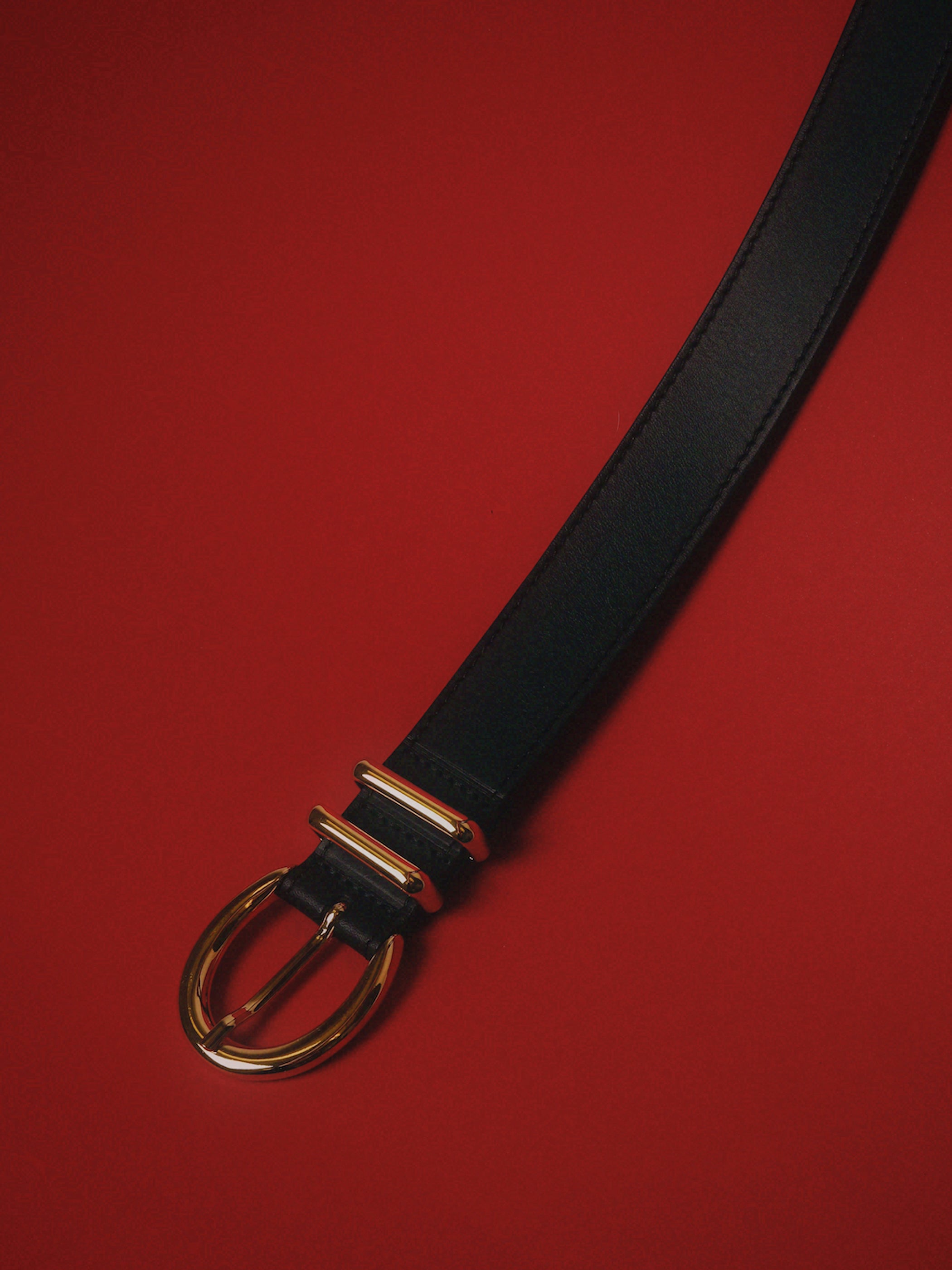 Carynia Leather Belt