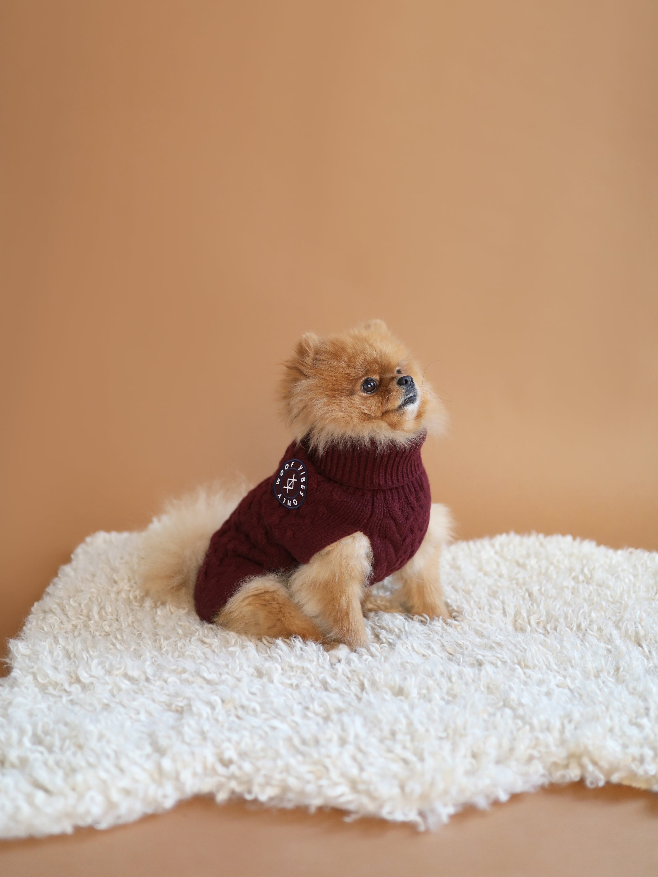 Soma Dog Sweater
