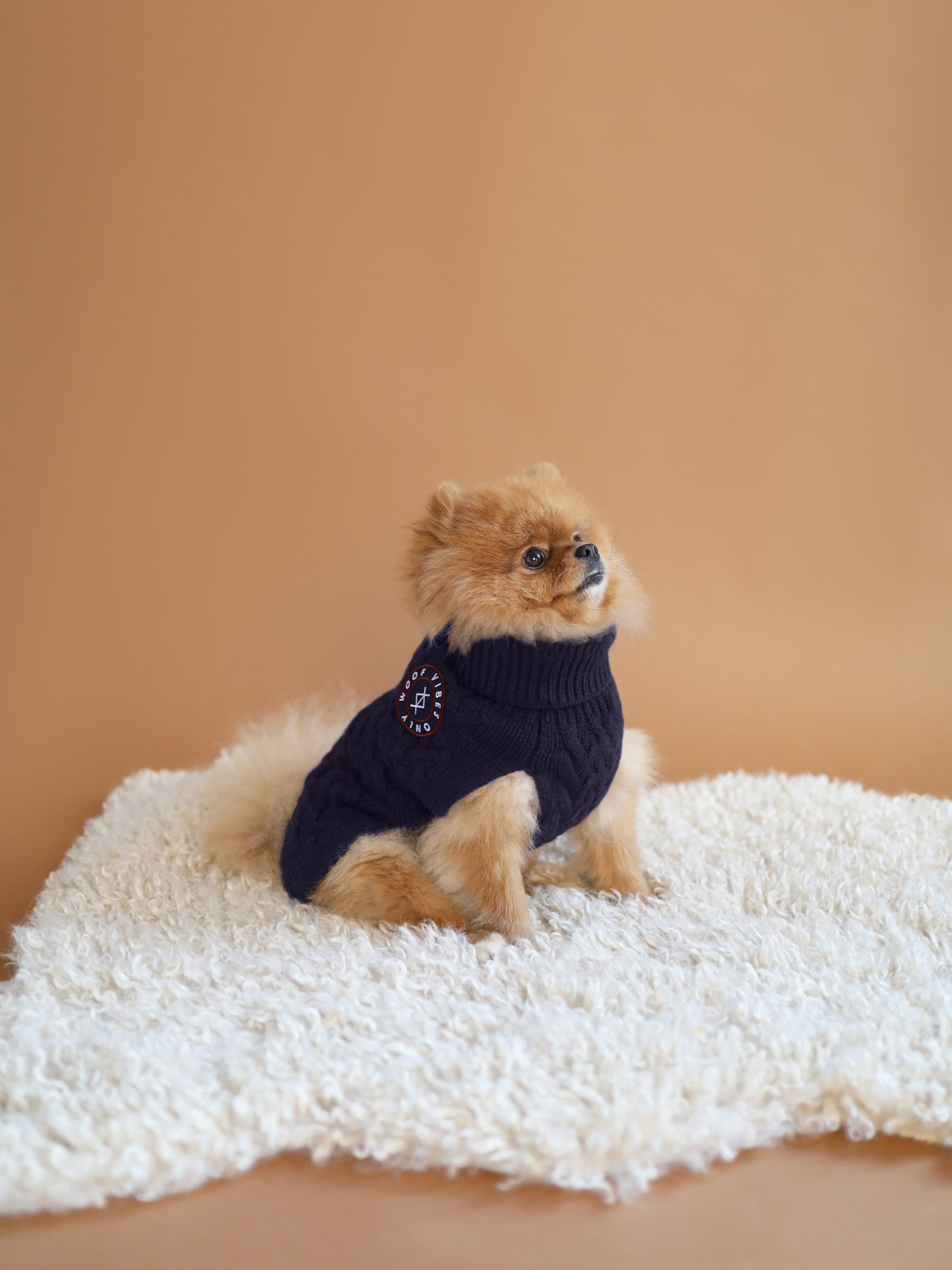 Colby Hoodie Sweater - Navy 2024 / beautiful dog sweater, handknit, handmade sweater, alpaca wool, warm dog sweater, cat sweater, quality sweater