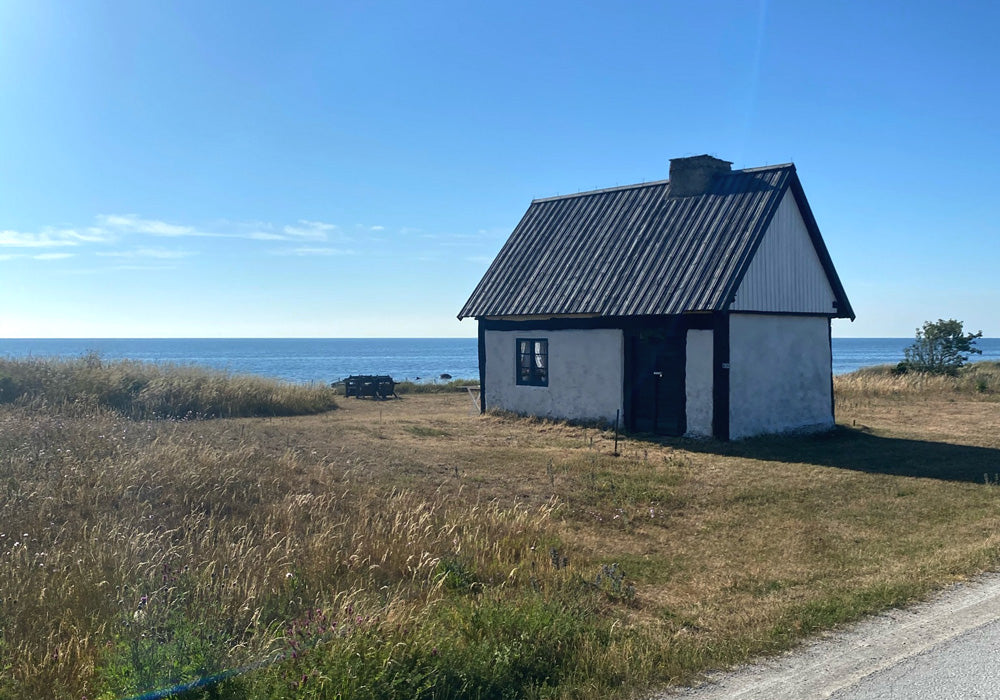 Our Best Tips for Gotland - Andiata